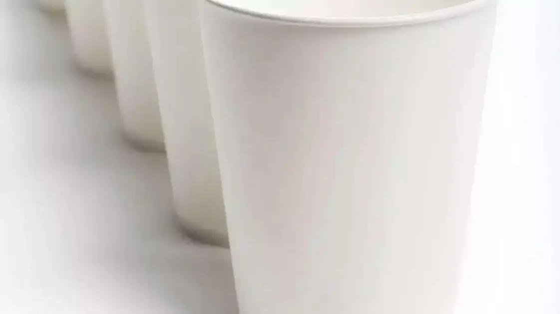 copos de papel