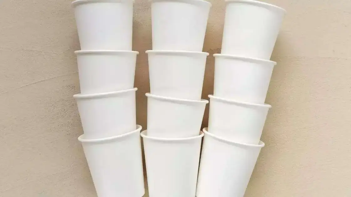 copos de papel reduzem o impacto ambiental
